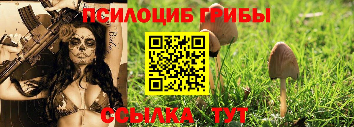 Галлюциногенные грибы Magic Shrooms Чебоксары