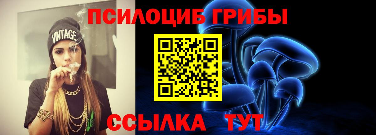 Псилоцибиновые грибы GOLDEN TEACHER  Вход с VPN  Чебоксары 